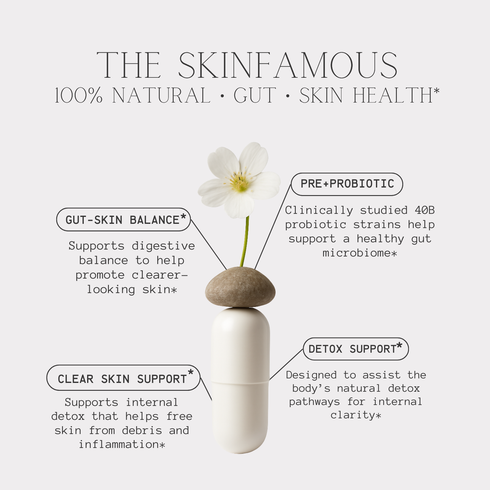 STEP 2 · the skinfamous pre+probiotic 40B